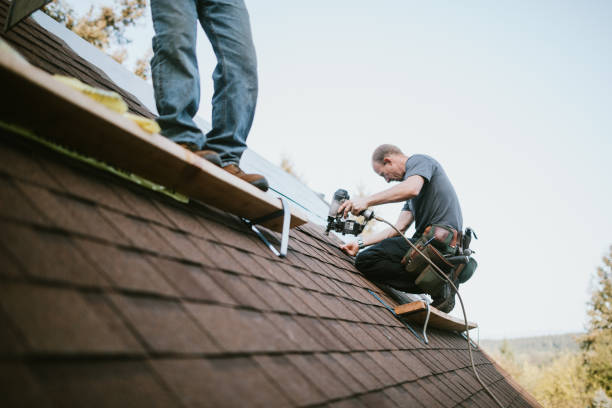 Best Storm Damage Roof Repair  in St Martins, MO